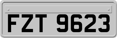 FZT9623