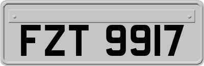 FZT9917