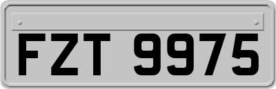 FZT9975