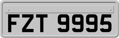 FZT9995