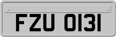 FZU0131