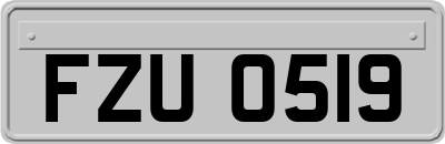FZU0519