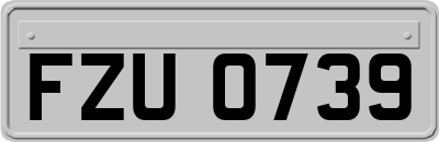 FZU0739