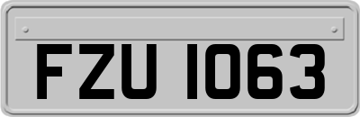 FZU1063