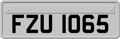 FZU1065