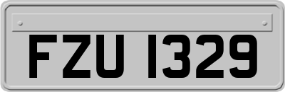FZU1329