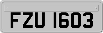 FZU1603