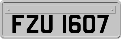 FZU1607