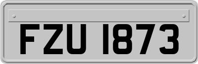 FZU1873