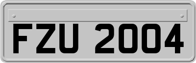 FZU2004