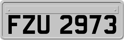FZU2973