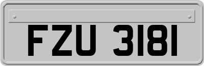 FZU3181