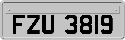 FZU3819