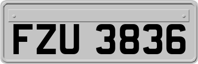 FZU3836