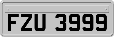 FZU3999