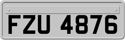 FZU4876