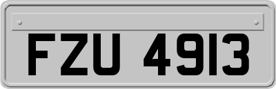 FZU4913