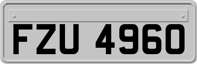 FZU4960