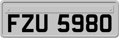 FZU5980