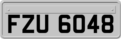 FZU6048