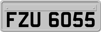 FZU6055