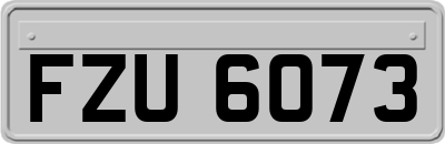 FZU6073