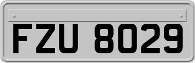 FZU8029