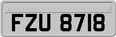 FZU8718