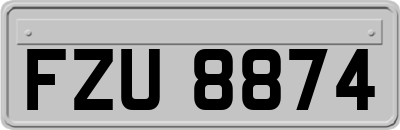 FZU8874