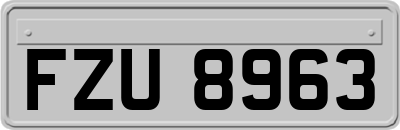 FZU8963
