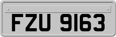 FZU9163