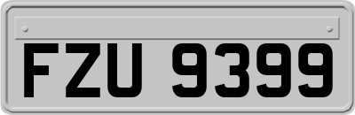 FZU9399