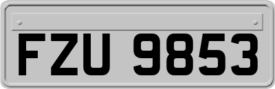 FZU9853