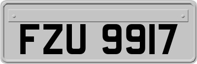 FZU9917