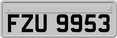 FZU9953
