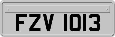 FZV1013