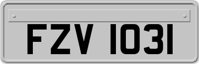 FZV1031