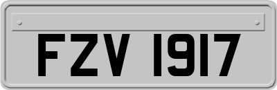 FZV1917