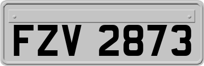 FZV2873