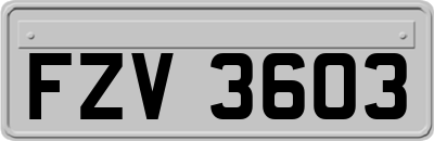 FZV3603