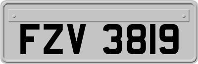 FZV3819