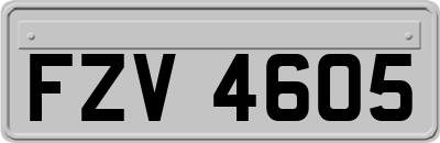 FZV4605