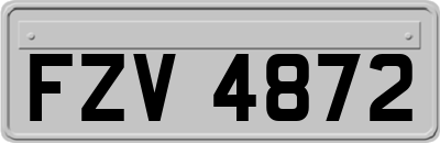 FZV4872