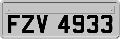 FZV4933