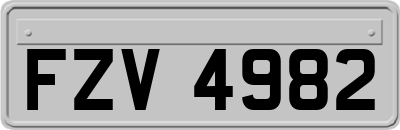 FZV4982