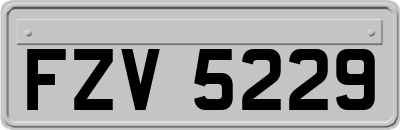 FZV5229