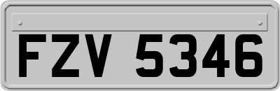 FZV5346