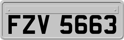 FZV5663