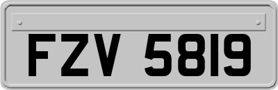 FZV5819