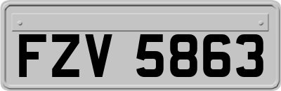 FZV5863